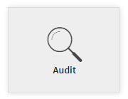 Audit